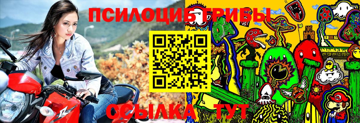 Псилоцибиновые грибы Cubensis Большой Камень